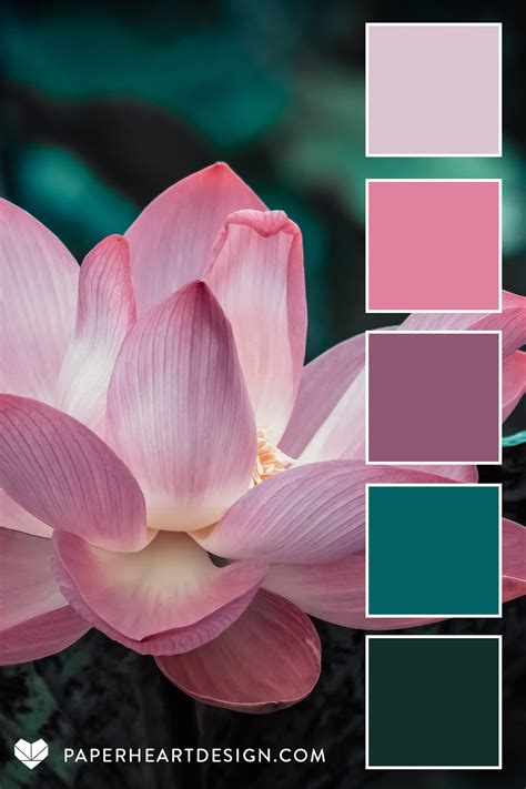 Color Palette: Peaceful Palettes — Paper Heart Design