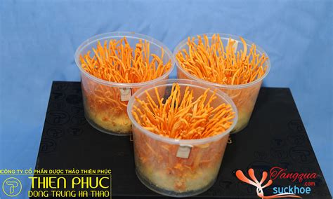 nhung thanh phan  trong nam dong trung ha thao tang qua suc khoe