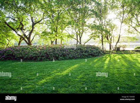 Spring color of West Lake Scenic Area Stock Photo - Alamy