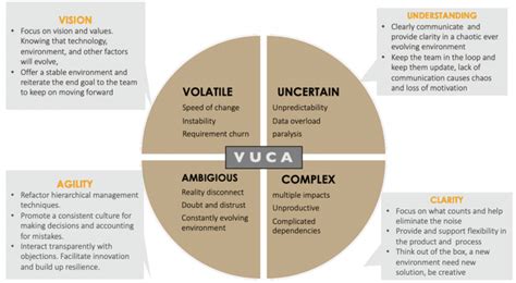 vuca environment   relevance  agile agility technology