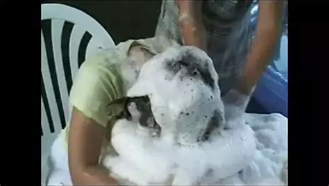 Creamy Lesbian XHamster