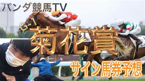 【菊花賞 2021】サイン馬券予想〜最下位人気のサインキャッチ！！パンダ競馬tv Youtube