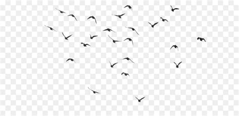 Bird Flight Bird Flight Clip Art Birds Png Transparent Picture Png