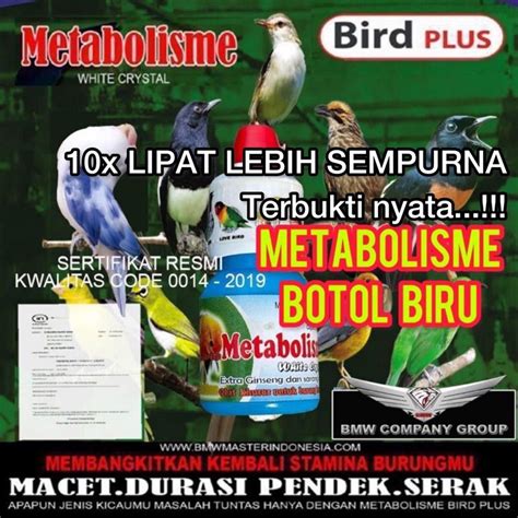 Jual Metabolisme Botol Biru Vitamin Multivitamin Penggacor Nutrisi