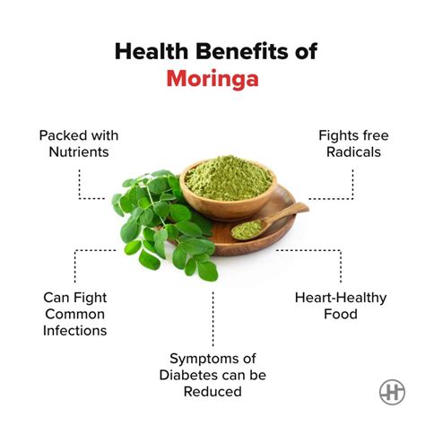 Moringa Health Benefits And Side Effects You Need To Be Aware Of