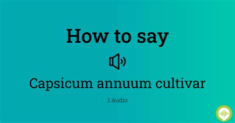 Mastering The Mysterious World Of Capsicum Pronunciation: Unleash The Spicy Secrets