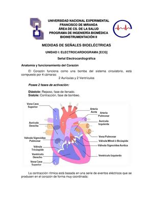 Informe Calibraci N Del Calor Metro Universidad Nacional Aut Noma De