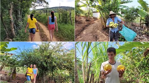 A CAMINHADA PELO SÍTIO FOI BOA COLHEMOS MAMÃO ACEROLA BANANA E