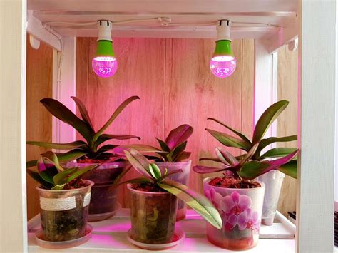 Indoor Plant Light Guide Grow Lights