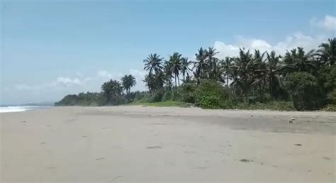 24000m2 Beachfront Land Freehold At Pantai Balian Tabanan