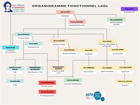 Organigramme Ladl Lyc E Franco Libanais Alphonse De Lamartine