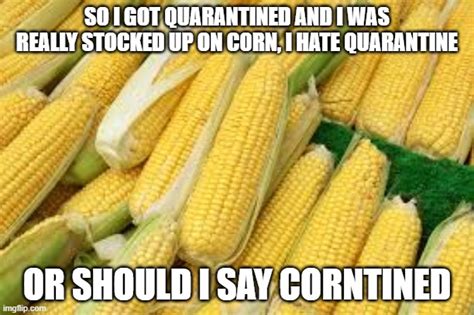 Corn Puns Imgflip