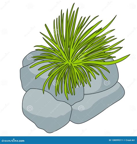 Antarctic Hair Grass Vector Illustration Stock Vector - Illustration of ...