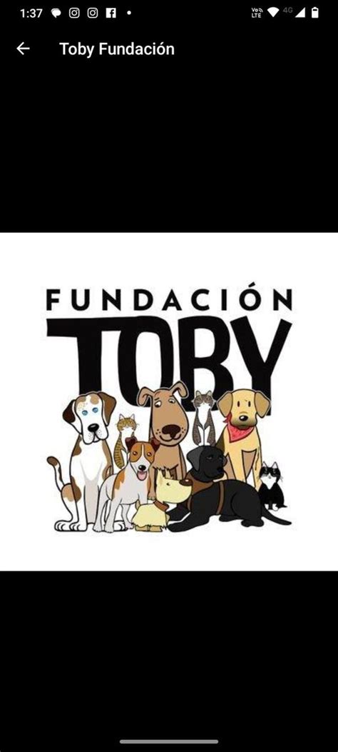 A L I on Twitter RT 29Toninho Una vez más fundación Toby al