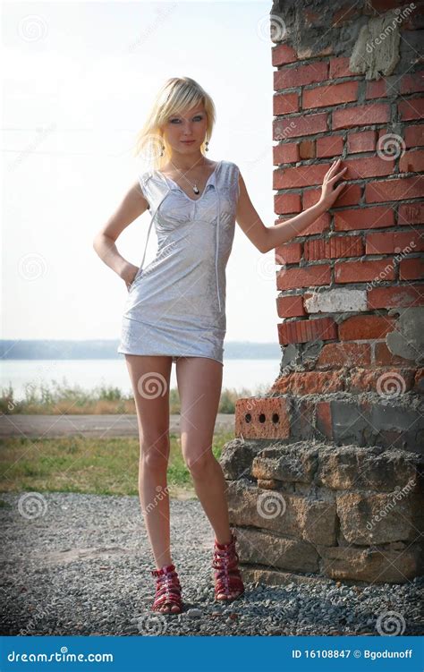 Beautiful Blond Girl On Brick Wall Stock Image Image Of Adult