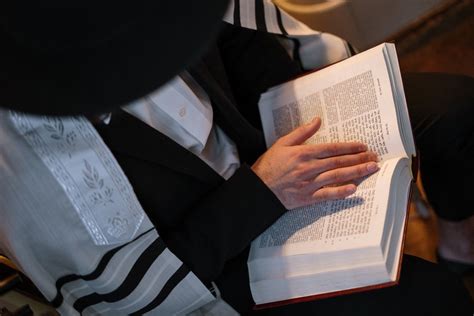 person reading  book  stock photo