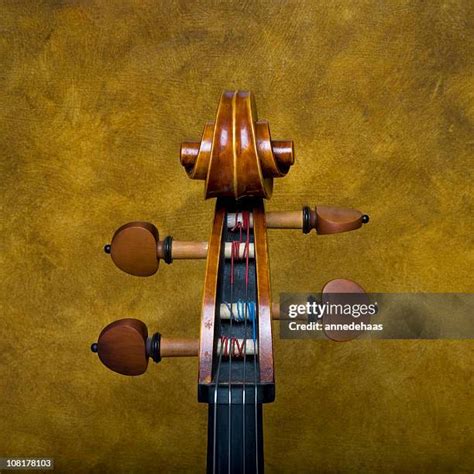 Cello Tuning Photos and Premium High Res Pictures - Getty Images