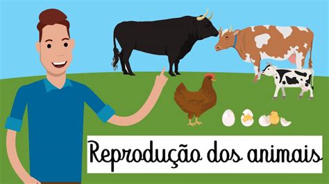 REPRODUÇÃO DOS ANIMAIS YouTube