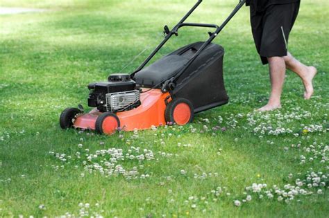 You Ve Been Mowing Your Lawn Wrong Expert Shares Method For Fresh Looking Grass