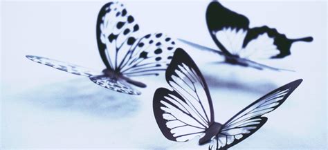 Статусы про бабочек со смыслом, короткие, красивые, прикольные