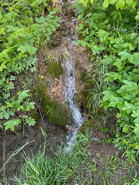 Kalkhaltiges Wasser L Uft Ber Einen Wasserfall Dabei L St Sich Der