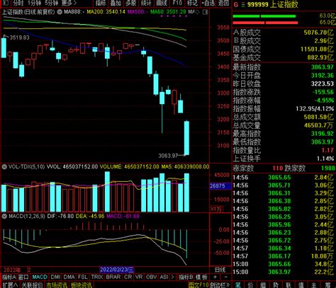 收评：沪指放量跌495失守3100点 两市超4400只个股下跌沪指跌破3100点影响市场