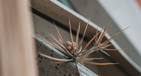 External Cost → Term