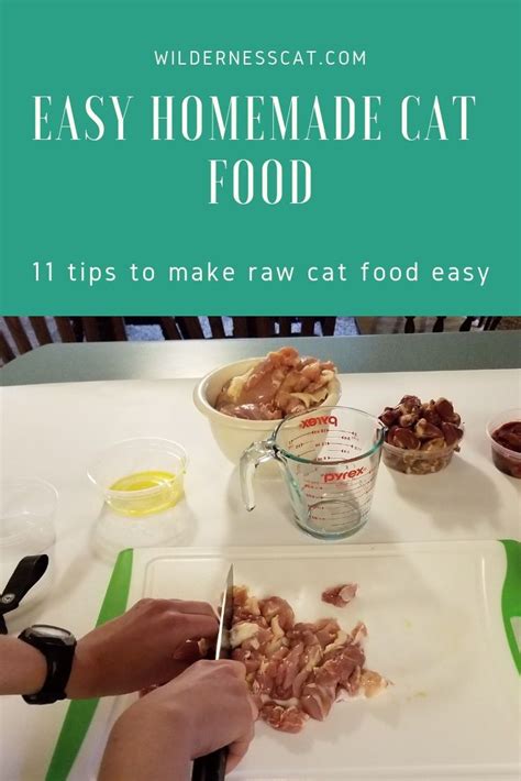 How To Make Raw Cat Food 11 Hacks To Make It Easy Raw Cat Food Recipes Homemade Cat Food