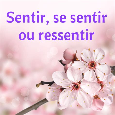 Eu Sentir Ou Eu Senti - Sentir, se sentir ou ressentir – Regard sur le français