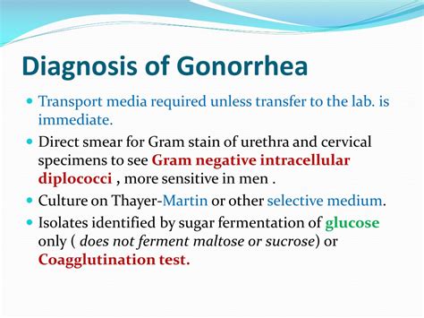 Ppt Chlamydia Syphilis Gonorrhea Reproductive Block Powerpoint 37014 Hot Sex Picture