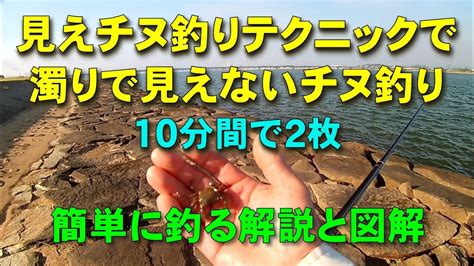 見えないチヌ釣り（テクニック58）見えチヌ釣りテクニック駆使して濁りで見えないチヌを10分間で2枚（簡単に釣る解説と図解）【前打ち／ヘチ釣り