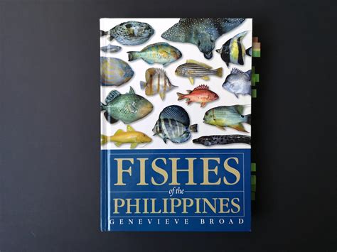 Fishes Of The Philippines By Genevieve Broad — Nastasha Alli