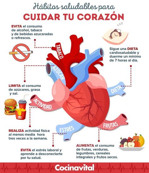 CorazÓn Sano Alimentos Cardio Cocina Vital Feria De Salud Habitos