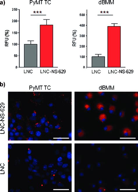 Ex Vivo Validation Of The Targeting And Release Of LNC NS 629 A