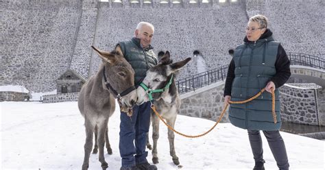 Oto Io Z Dolnego L Ska Osio Ek Zagra W Filmie Nominowanym Do Oscara