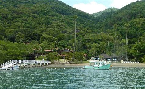 Coqueiro Verde Ilha Grande Veja Dicas No F Rias Brasil