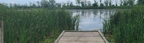 Pumphouse Marsh Waterfront Trail, Ontario, Canada - 29 Reviews, Map | AllTrails