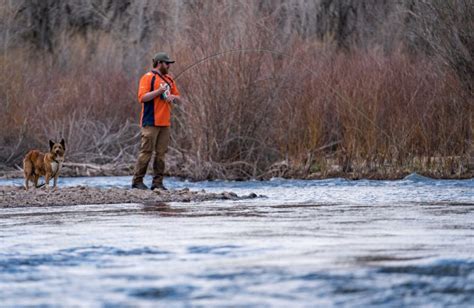 10 Tips Catching More Trout Flylords Mag