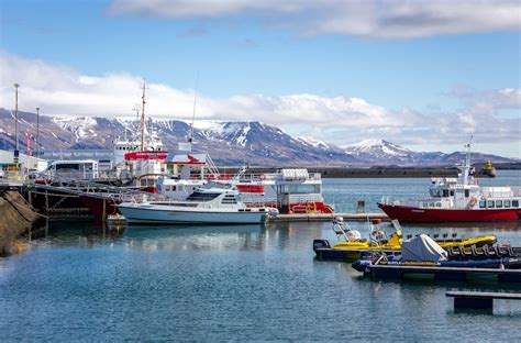 Best Seafood Restaurants in Reykjavik | Guide to Iceland