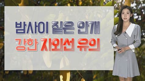 날씨 내일 맑고 큰 일교차내륙 중심 짙은 안개 연합뉴스tv Yonhapnewstv Youtube