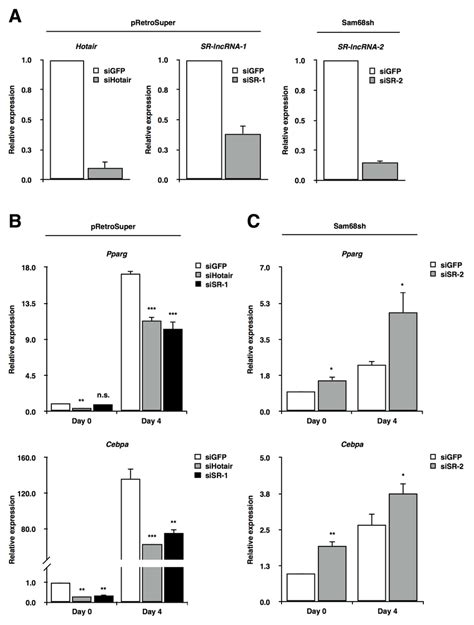 Sam68 Regulated Lncrnas Are Required For Adipogenic Differentiation