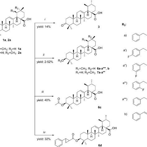 Scheme 1 Synthesis Of Ursane And Oleanane Esters Tested In Vitro 3 6