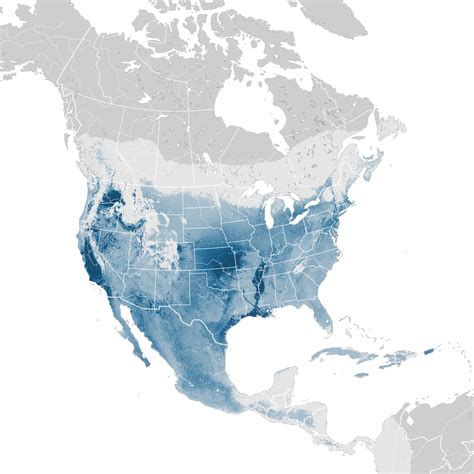 Red Tailed Hawk Abundance Map Non Breeding Ebird Status And Trends