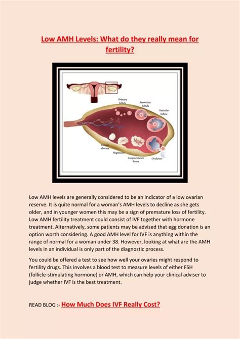 Ppt Low Amh Levels What Do They Really Mean For Fertility Powerpoint Presentation Id10990027