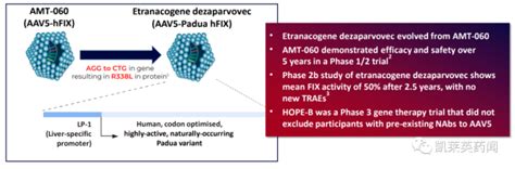 史上最贵药易主！aav基因疗法捷报成双，血友病治疗实现重大突破 腾讯新闻