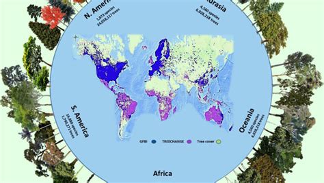 There Are About 73,000 Tree Species on Earth, New Study Shows | Sci.News