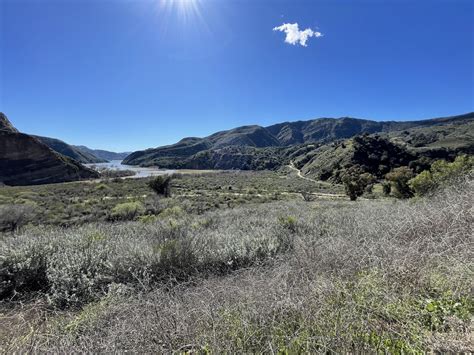 Lake Piru Volunteer Day — Channel Islands Restoration