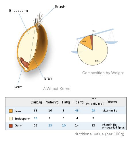 File:Wheat-kernel nutrition.svg - Wikipedia