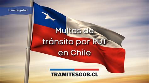 Multas de tránsito por RUT en Chile Tramites Gob