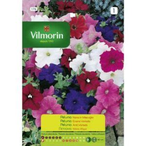 Semillas Vilmorin Petunia Enana Variada La Mano Verde